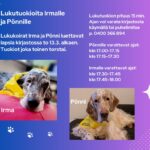 Lukukoirat Irma ja Pönni kirjastossa