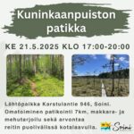 Kuninkaanpuiston patikka