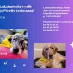 Muuttunut aika! Lukukoirat Irma ja Pönni kirjastossa klo 16 alkaen