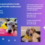 Lukukoirat Irma ja Pönni kirjastossa