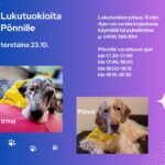 Lukukoira Pönni kirjastossa torstaina 23.10. klo 17:30-18:30