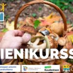 Sienikurssi su 14.9. kello 10 alkaen