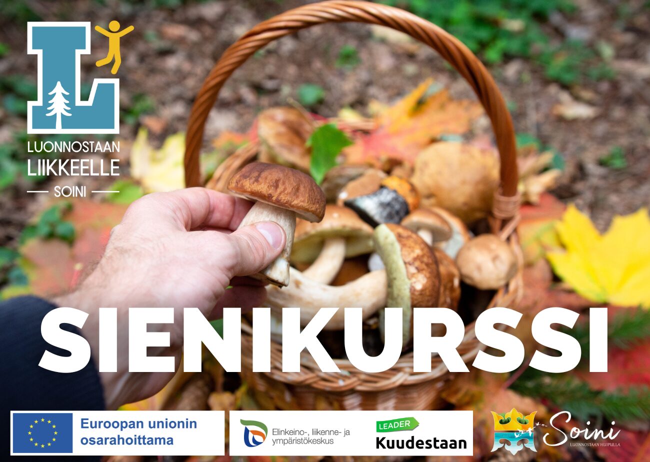 Sienikurssi su 14.9. kello 10 alkaen