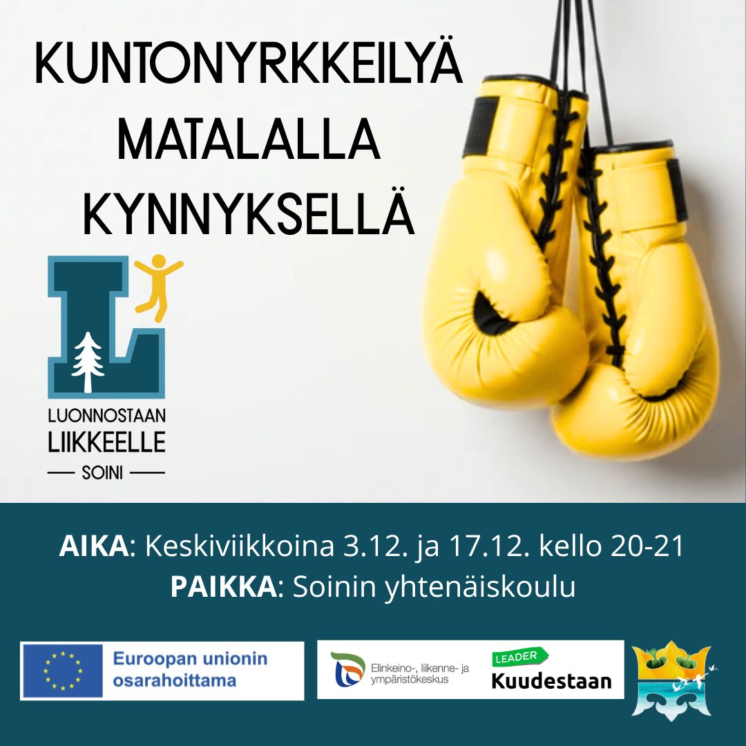 Kuntonyrkkeily kurssi 3.12. ja 17.12.