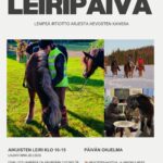 Aikuisten leiripäivä