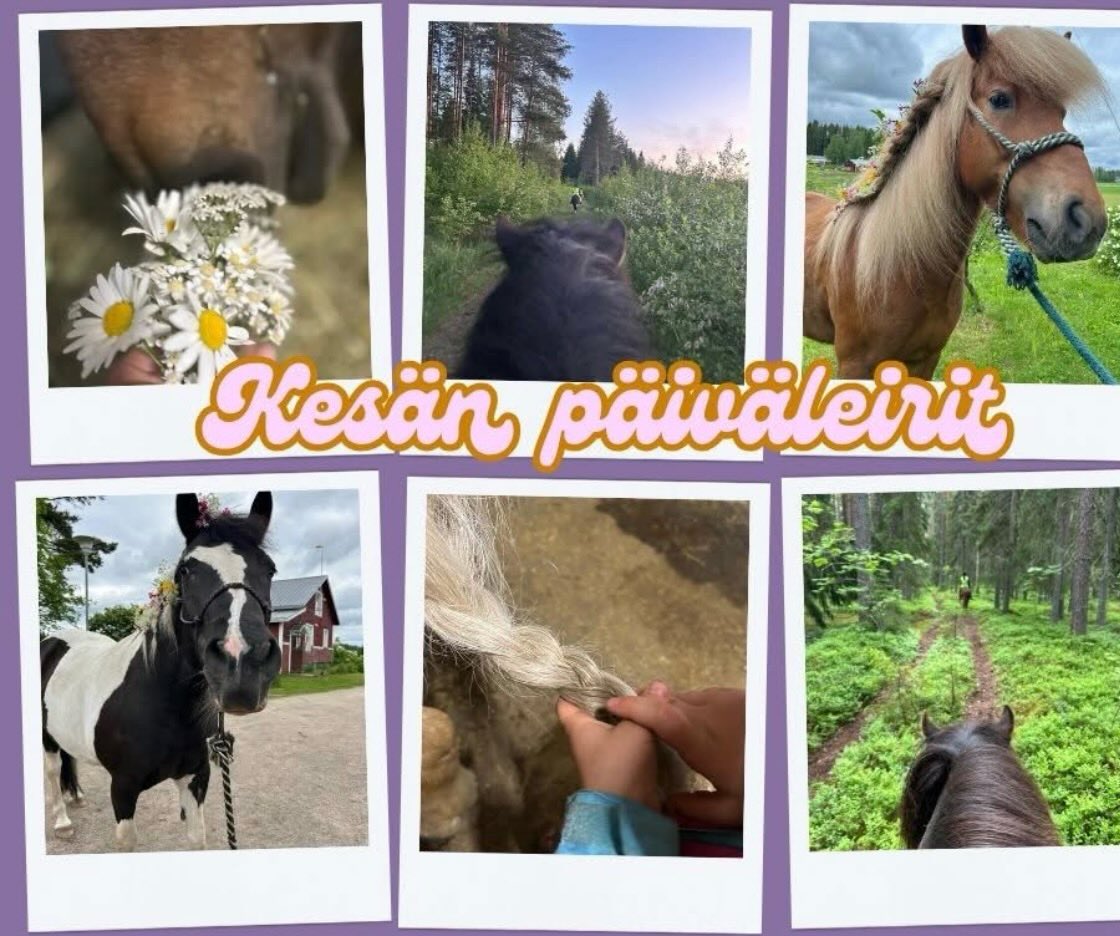 Lasten Heppaleiri (jatkoleiri 7-12 v, päiväleiri)