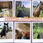 Aikuinen–Lapsi Heppaleiri (Alkeistaso)