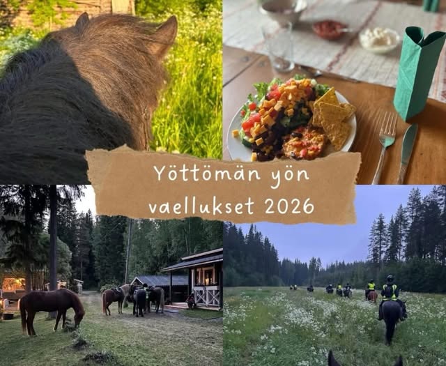 Yöttömän Yön Islanninhevosvaellus (Kaikentasoiset)