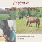 Joogaa ja maastoratsastusta