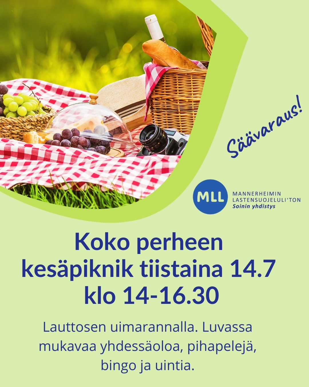 Koko perheen kesäpiknik