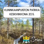 Kuninkaanpuiston patikka