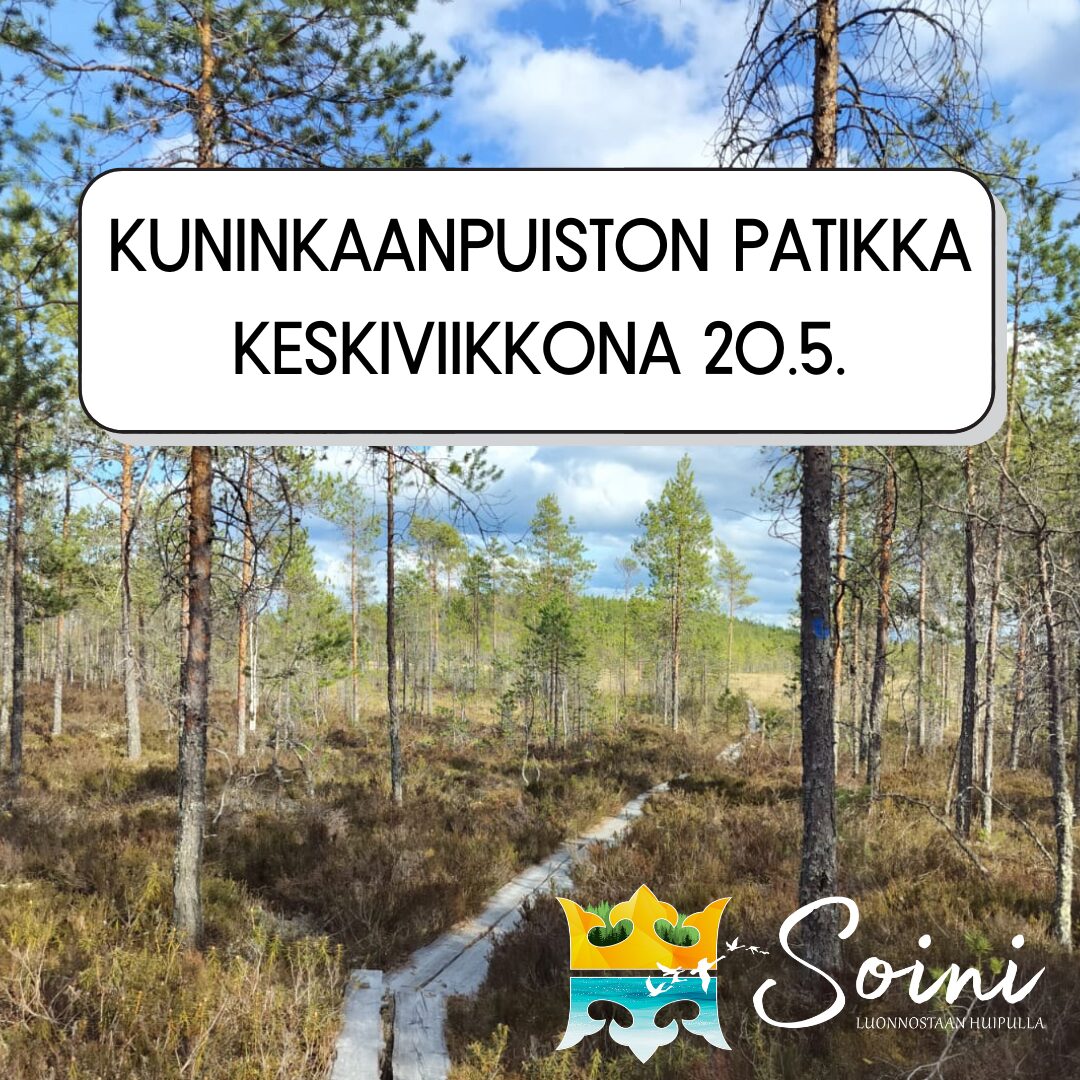 Kuninkaanpuiston patikka